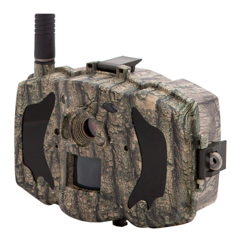 Cámara de fototrampeo camuflada utilizada por VigilanTree
