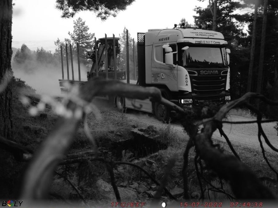 Ejemplo real de un camión forestal detectado de noche por VigilanTree